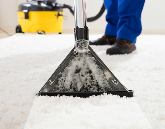 professional carpet cleaning